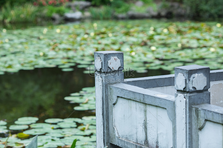 chinese garden of elements