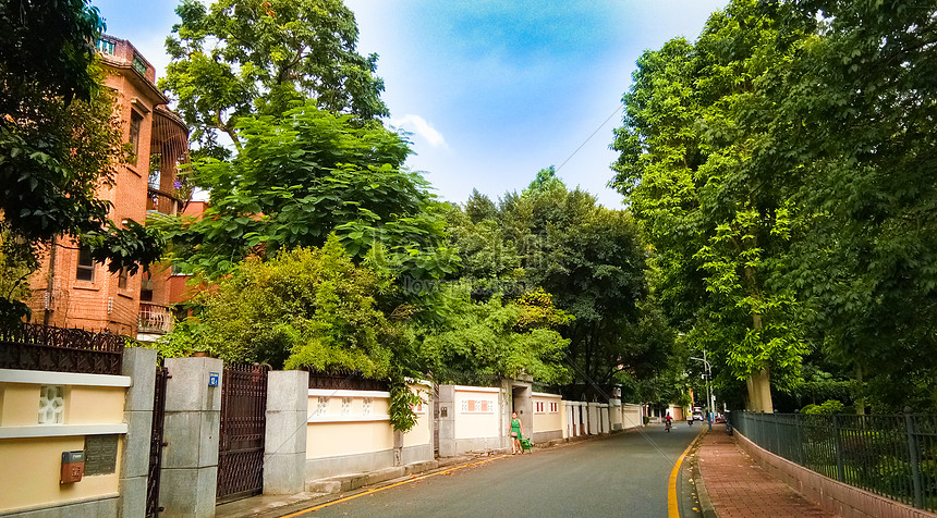 Hãy cùng khám phá ảnh đường phố xanh để bắt gặp bầu trời trong xanh và lá cây xanh mướt đang bao phủ toàn bộ con phố. Mỗi bức ảnh sẽ là một món quà tuyệt vời dành cho bạn để thỏa sức ngắm nhìn và cảm nhận vẻ đẹp của thành phố.