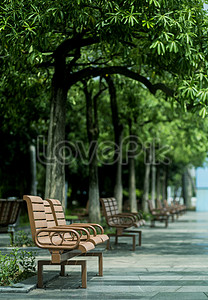 Sunshine Chair Rest Park Natural Environment Picture And HD Photos | Free  Download On Lovepik