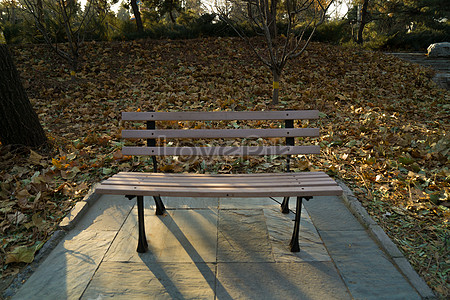 Sunshine Chair Rest Park Natural Environment Picture And HD Photos | Free  Download On Lovepik