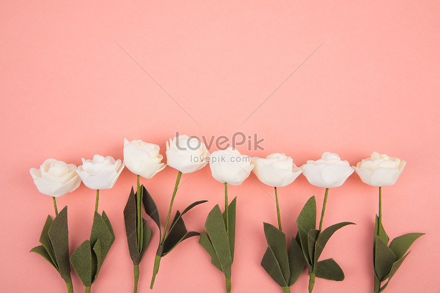 Những bông hoa màu hồng tươi tắn tràn đầy sức sống sẽ làm say đắm bao trái tim. Hãy cùng chiêm ngưỡng những ảnh hoa màu hồng để cảm nhận sự thanh thoát và tinh khôi như những cánh hoa đang nở rộ trong không gian.