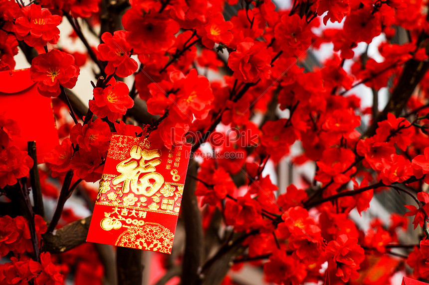 Đỏ mận may mắn - màu sắc mang lại sự thịnh vượng và may mắn cho người Việt. Hãy để những bức ảnh đỏ mận này đem lại niềm vui và hạnh phúc cho ngày mới của bạn.
