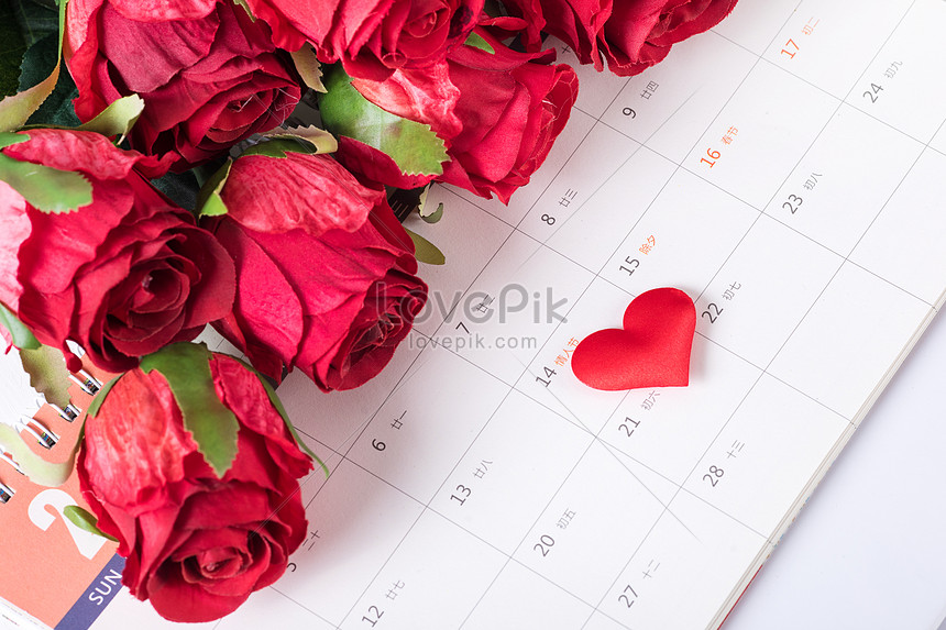 Valentines Day Rose Love Date Still Life Picture And HD Photos | Free ...