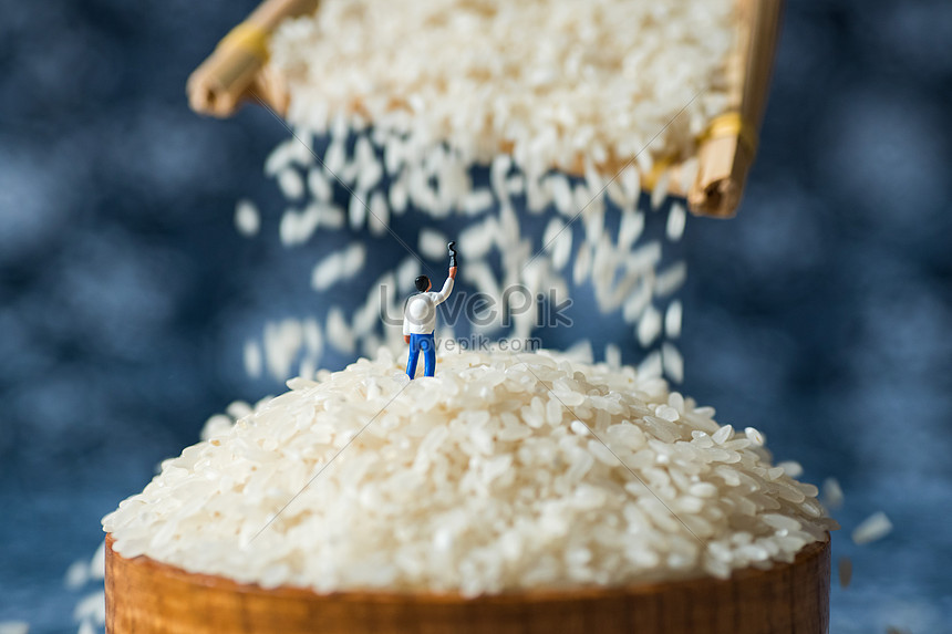 Microstatic Rice Picture And HD Photos | Free Download On Lovepik