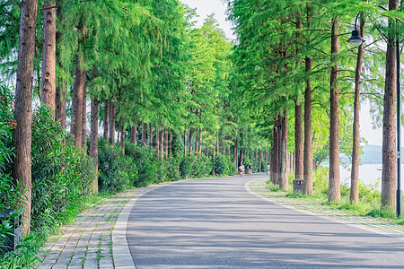 Green Road Images, HD Pictures For Free Vectors & PSD Download 