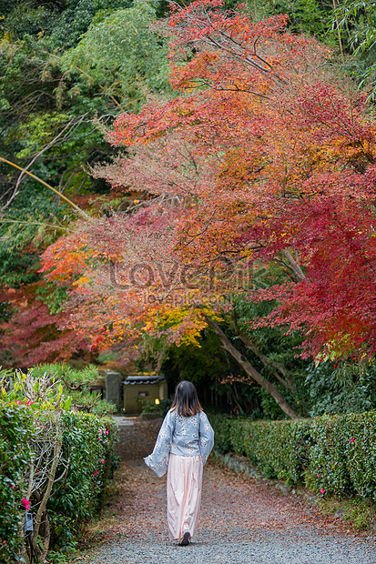 ảnh Nhật Bản Phong Cảnh đẹp Tải Xuống Miễn Phí, ảnh nhật bản nhật bản nhật  bản, phong cảnh, cảnh sắc mùa thu đẹp Trên Lovepik
