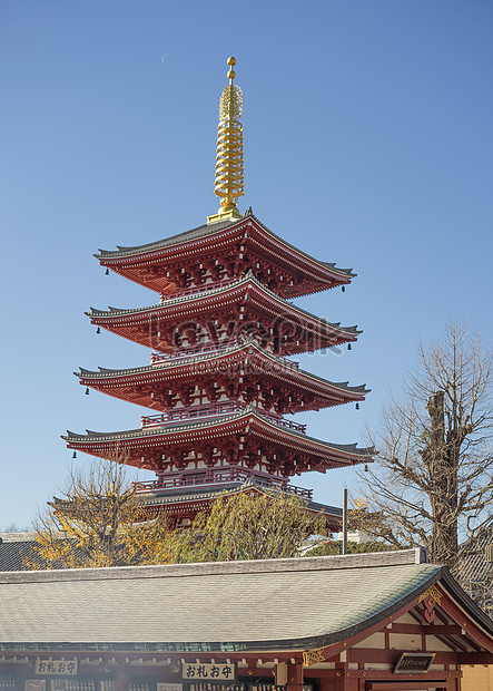 Japans Shallow Grass Temple Picture And HD Photos | Free Download On ...