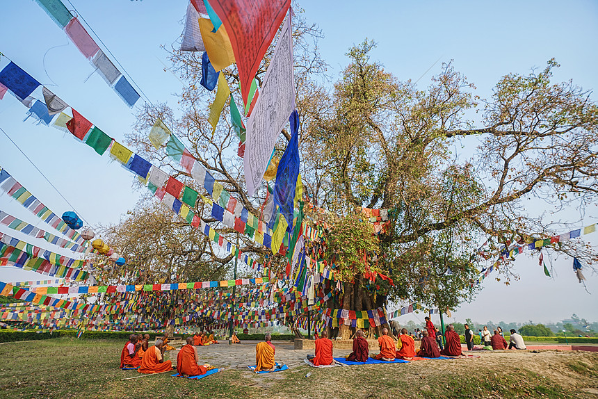 Nepal Lumbini Sakyamuni The Birthplace Of The Bodhi Tree Picture And