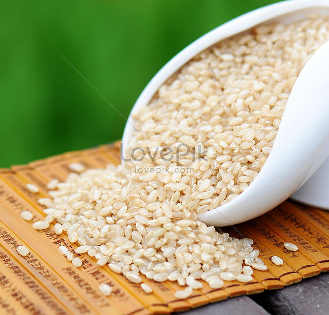 Rice Grain Picture And HD Photos | Free Download On Lovepik