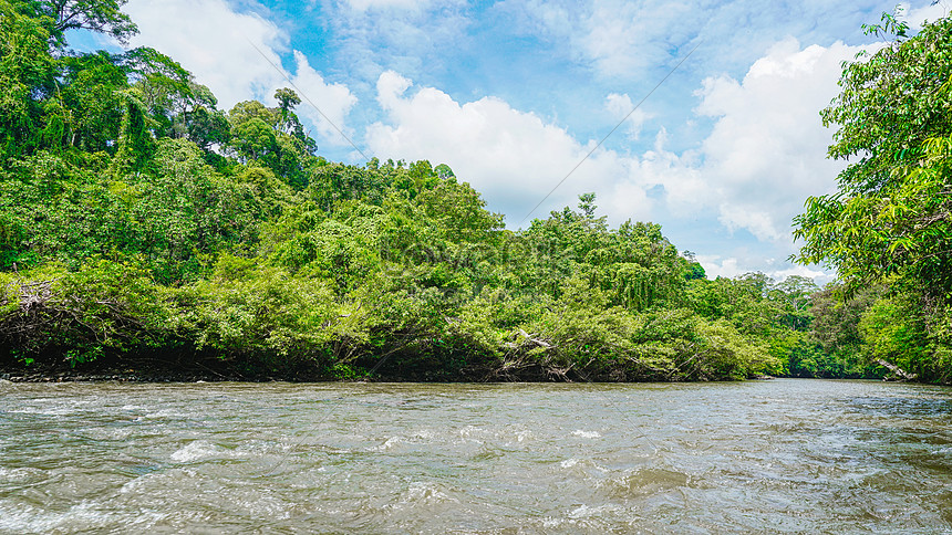 Brunei Tambourg National Park Picture And HD Photos | Free Download On ...