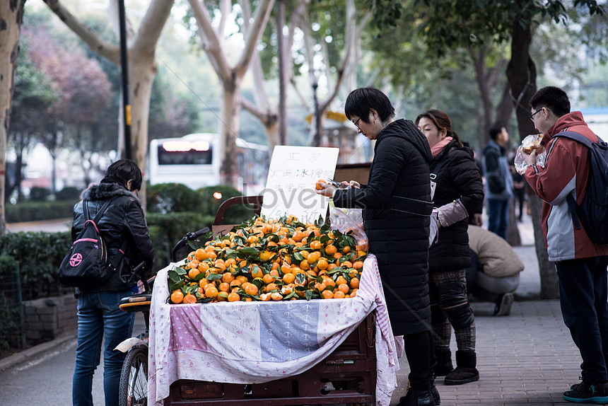 Street Fruit Stand Picture And HD Photos Free Download On Lovepik   Lovepik Street Fruit Stand Picture 501125493 