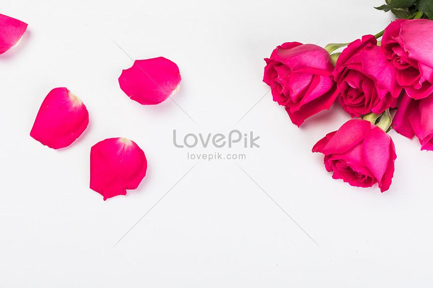 Tặng người yêu món quà ý nghĩa trong ngày Valentine với hoa hồng đỏ đầy tình yêu. Hãy xem ngay ảnh để chọn một bó hoa thật đẹp để thể hiện tình cảm của bạn.