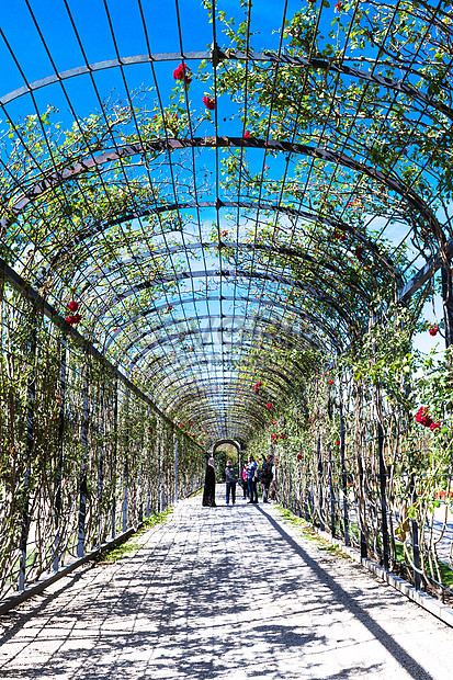 Vienna Meiquan Palace Garden Picture And HD Photos | Free Download On ...