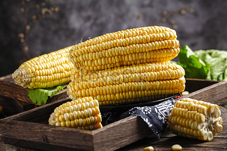 sweet corn background