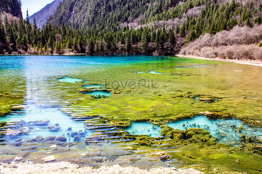 Jiuzhaigou Picture And HD Photos | Free Download On Lovepik