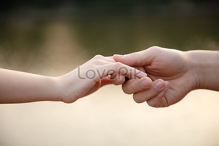 Hand In Hand Picture And Hd Photos Free Download On Lovepik