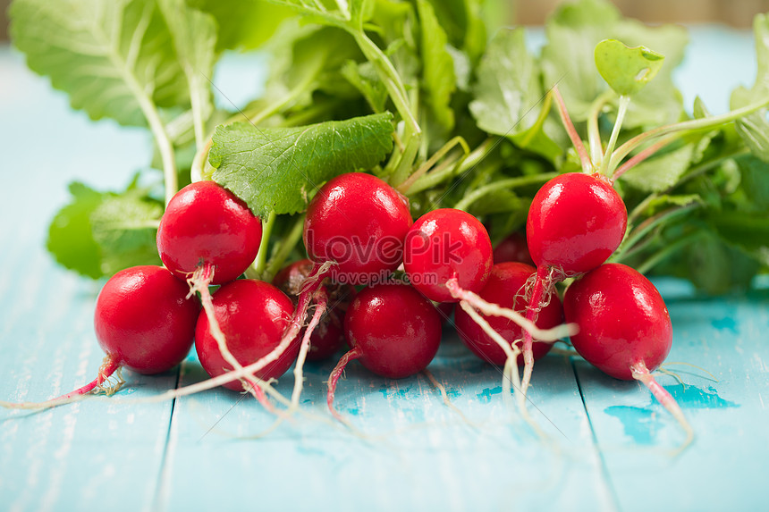 Cherry Radish Picture And HD Photos | Free Download On Lovepik