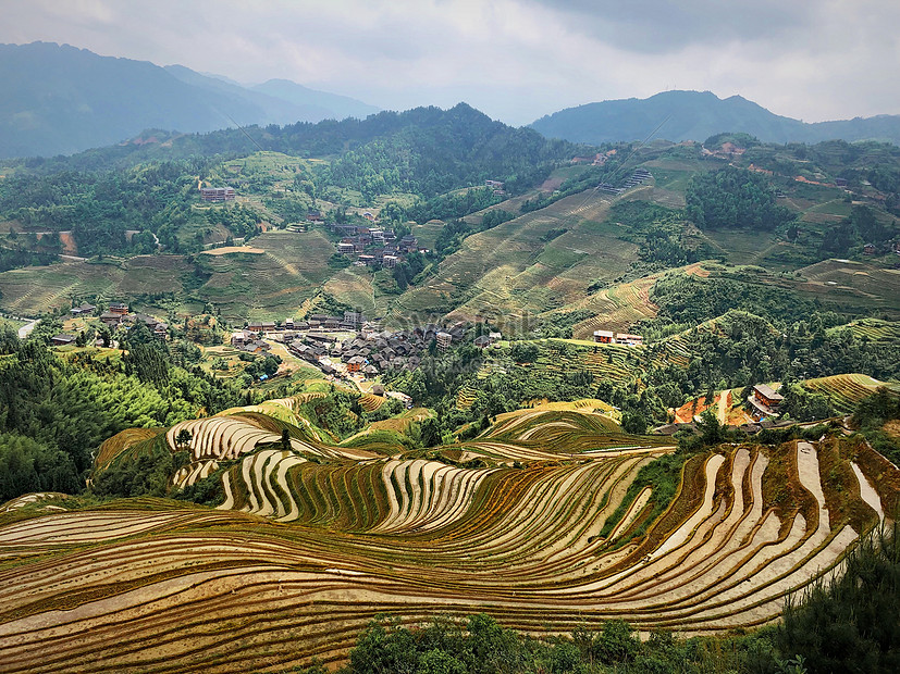 Guilin Longji Rice Terraces Picture And HD Photos | Free Download On ...