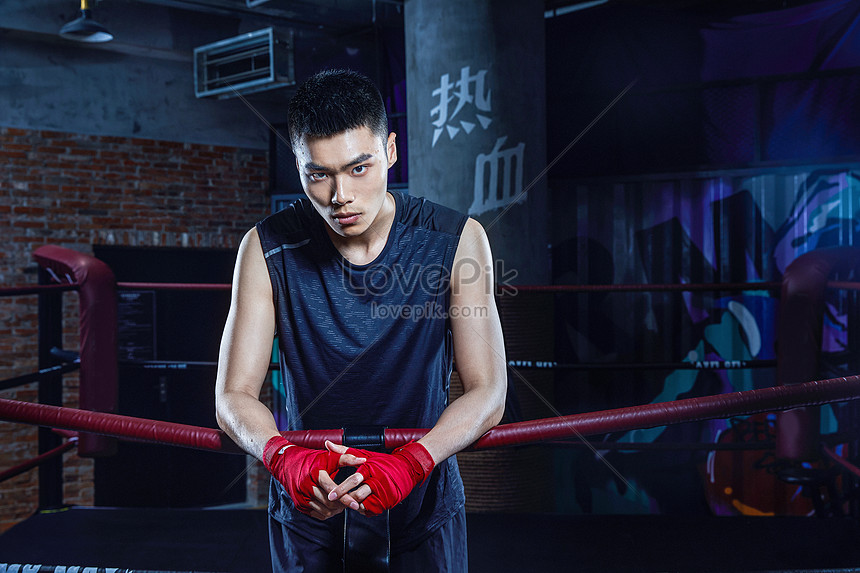 Male Boxer Picture And HD Photos | Free Download On Lovepik