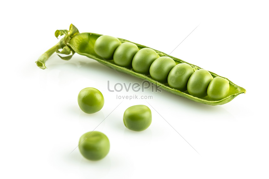 Pea Still Life Shed Picture And HD Photos | Free Download On Lovepik