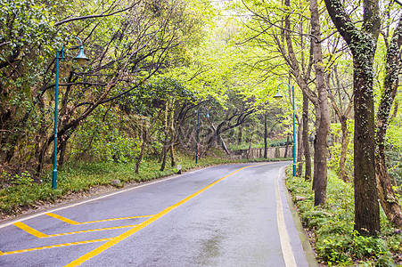 Nature Road Background Picture And HD Photos | Free Download On Lovepik