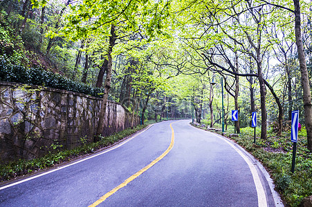 Nature Road Background Picture And HD Photos | Free Download On Lovepik