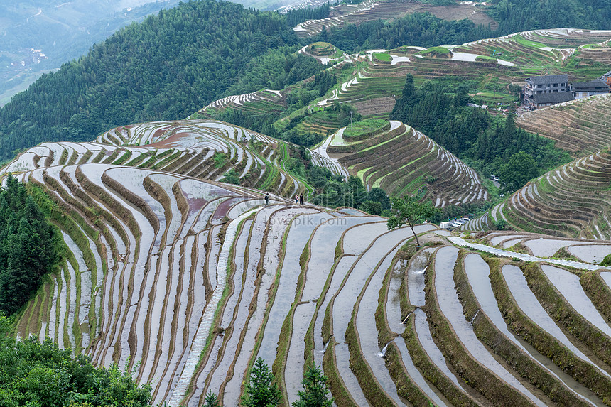 Guilin Longji Pingzhai Terraced Barn Festival Light Show Picture And HD ...