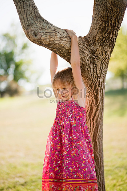 Girl Hanging On A Branch Picture And HD Photos | Free Download On Lovepik