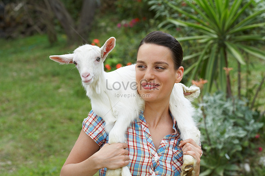 Goat Riding On Little Girls Shoulders Picture And HD Photos | Free ...