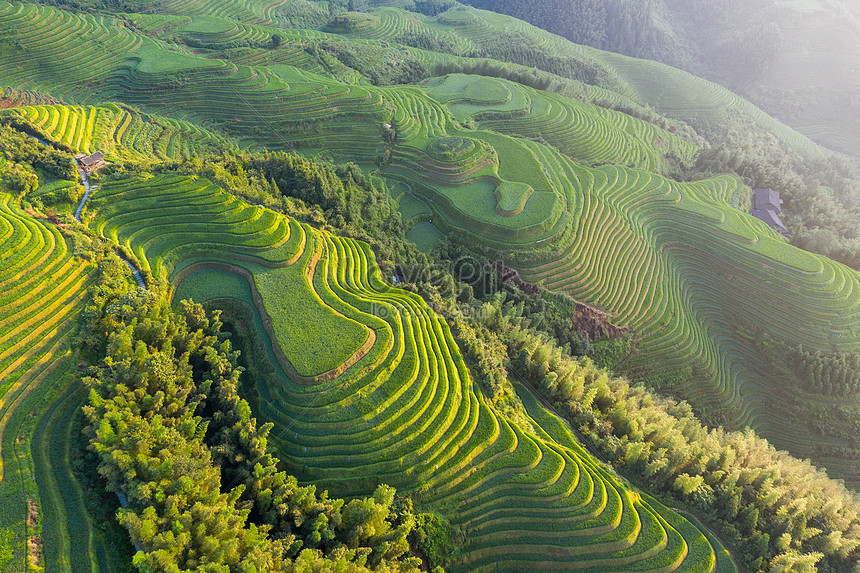 Guilin Longji Terraced Jinkeng Terraces Picture And HD Photos | Free ...