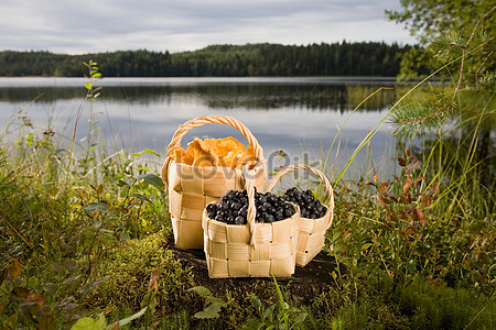 Ягоды и грибы в корзине у озера stock pictures. & изображений