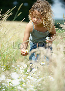 Маленькая девочка собирать цветы в поле stock pictures. & изображений