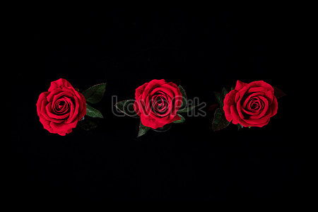 Nền đen hoa hồng đẹp như một tác phẩm nghệ thuật đầy chất lượng và tính thẩm mỹ. Bản sắc cổ điển của sắc đen kết hợp cùng vẻ đẹp huyền thoại của hoa hồng sẽ tạo nên một hình ảnh đẹp từng centimet của ngày hôm nay.