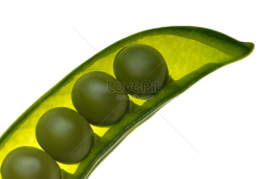 Four Peas In A Pod On White Picture And Hd Photos 