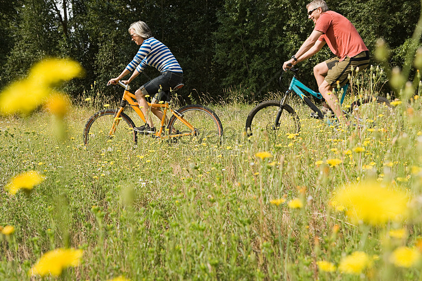 Tandem Bicycle Picture And HD Photos | Free Download On Lovepik