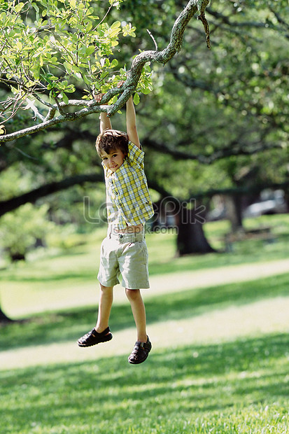 The Boy Swayed From The Tree Picture And HD Photos | Free Download On ...