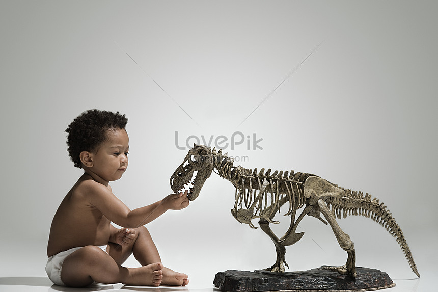 Niño Tocando Un Esqueleto De Dinosaurio Foto | Descarga Gratuita HD Imagen  de Foto - Lovepik