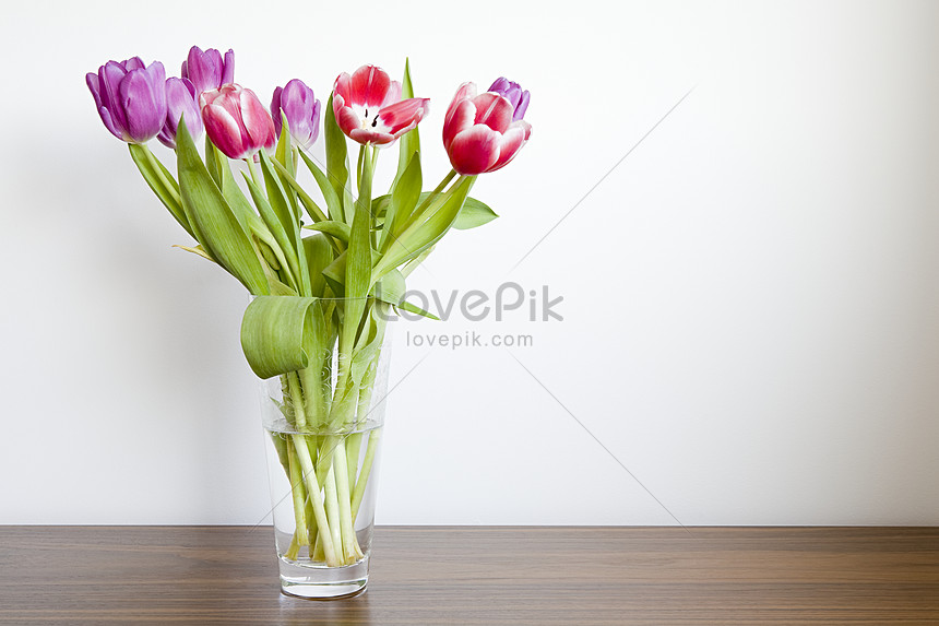 Tulipanes En Un Florero Foto | Descarga Gratuita HD Imagen de Foto - Lovepik
