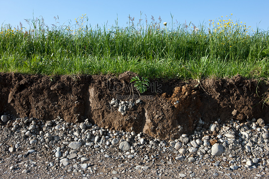 Soil And Grass Cross Section Picture And HD Photos | Free Download On ...