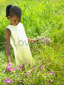 Девушка собирает цветы в поле stock pictures. & изображений