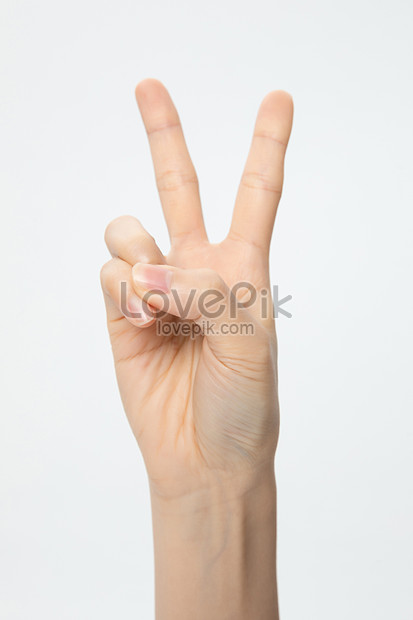 Number 2 Closeup Sign Language Picture And HD Photos | Free Download On ...