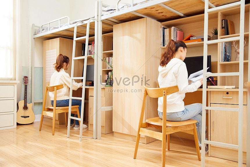 Back View Of Female College Students Studying In Dormitory Picture And ...