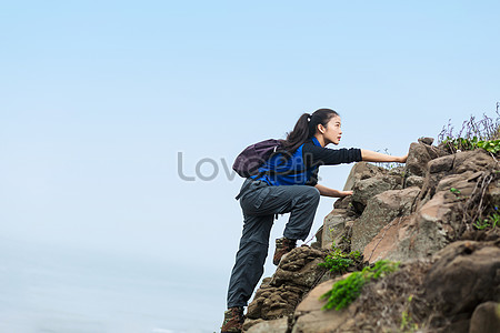 Красота в дикой природе stock pictures. & изображений