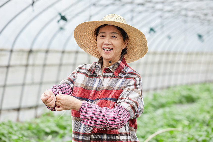 Farmers In Vegetable Greenhouses Picture And Hd Photos 