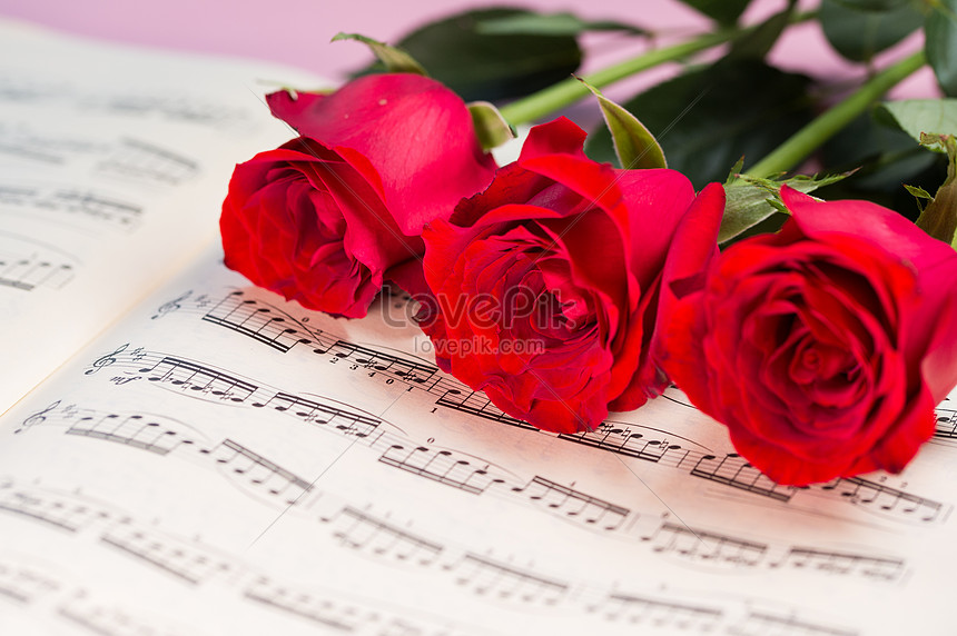 Hình ảnh của những đóa hoa hồng là một nguồn cảm hứng vô tận cho tất cả những ai yêu thích hoa. Nhìn vào bức ảnh hoa hồng, bạn sẽ cảm nhận được sự tuyệt vời và độc đáo của hoa hồng. Hãy để trái tim bạn được thư giãn và tận hưởng một chút vẻ đẹp nơi những chiếc cánh hoa tuyệt đẹp này.