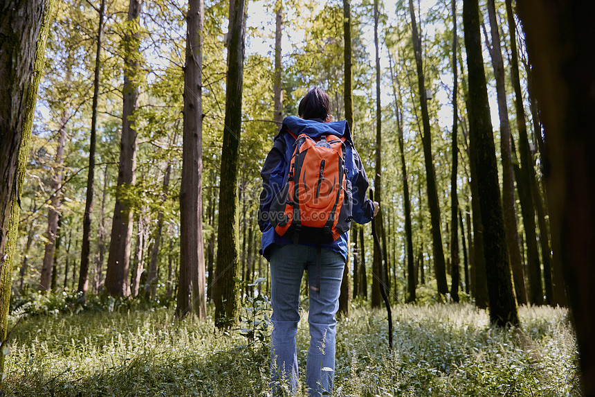 Hiking Girl Hiking Back Picture And HD Photos | Free Download On Lovepik