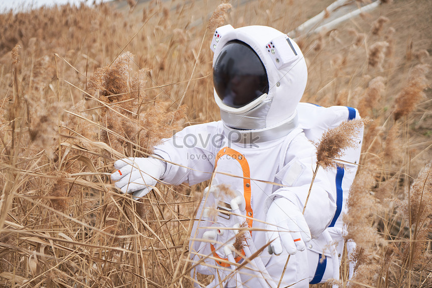 Man In Space Suit In Reed Grass Photo, hd aerospace technology photo, aerospace photo, scientific research photo