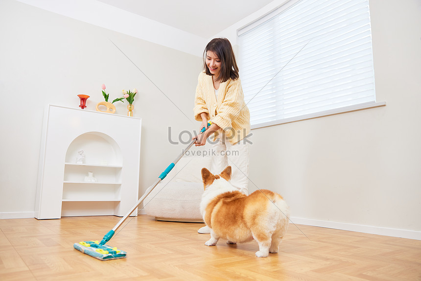 Pet Dog With Owner Picture And HD Photos | Free Download On Lovepik