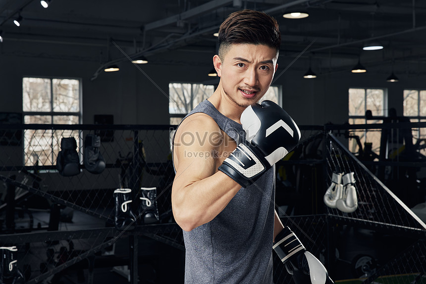 Male Boxer Image Picture And HD Photos | Free Download On Lovepik