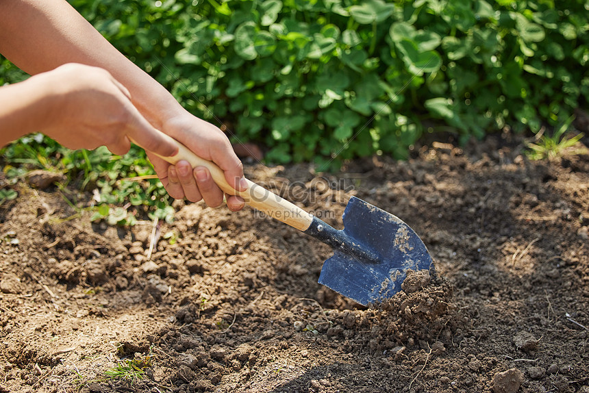 Close Up Of Shovelling Soil Outdoors Picture And HD Photos | Free ...